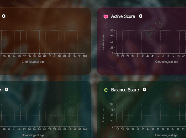 Screenshot 2025-11-18 111012